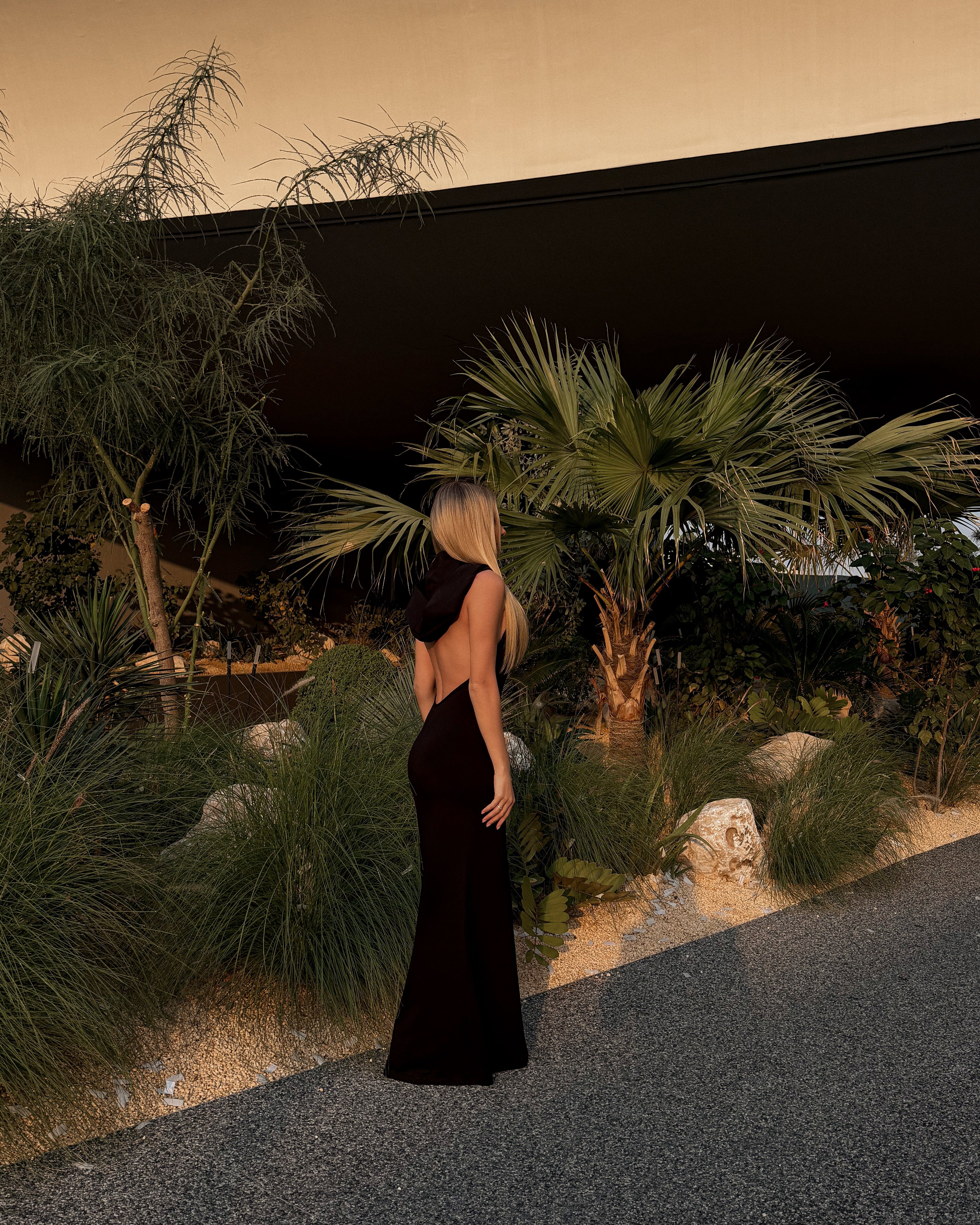Black dress Icon