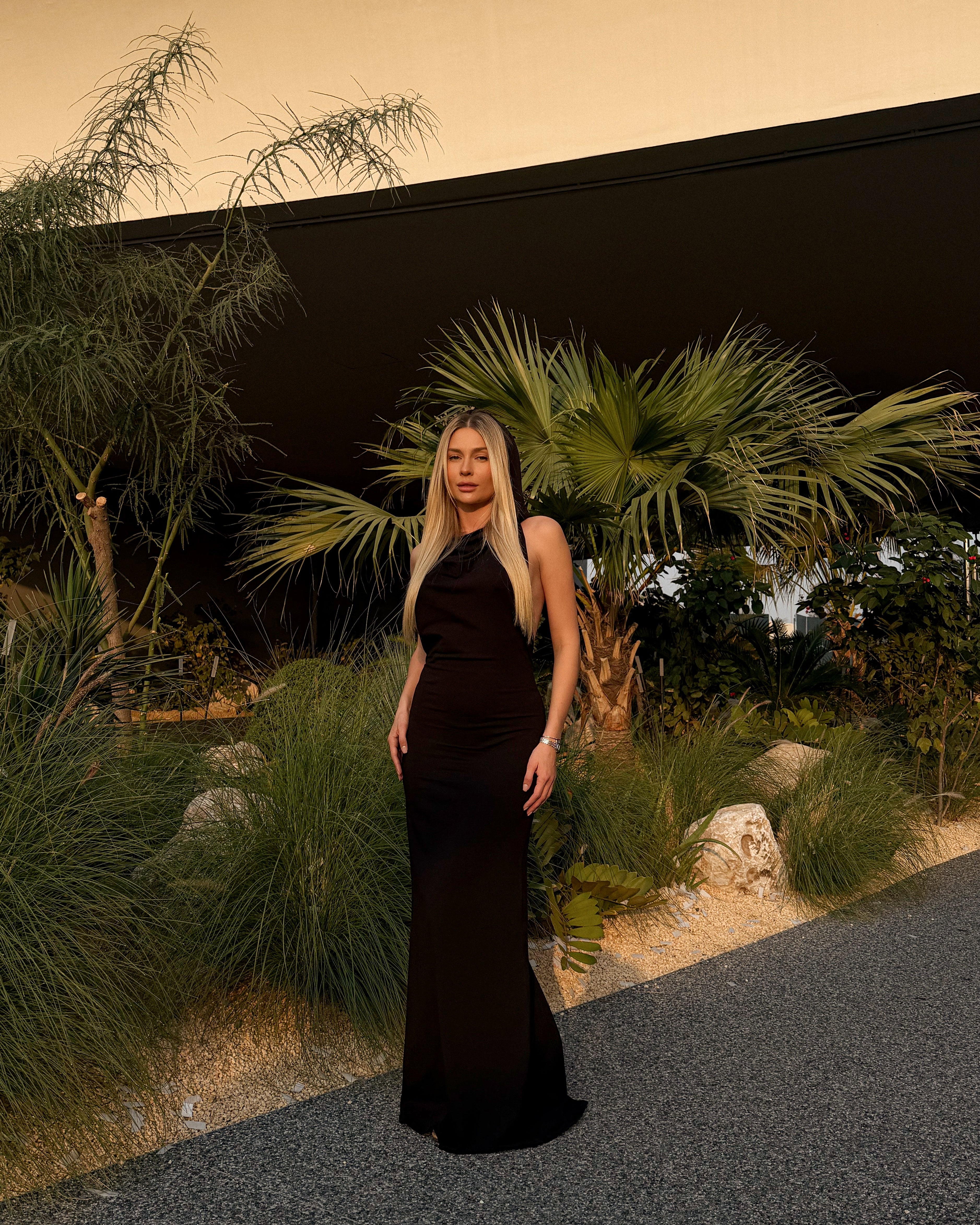 Black dress Icon